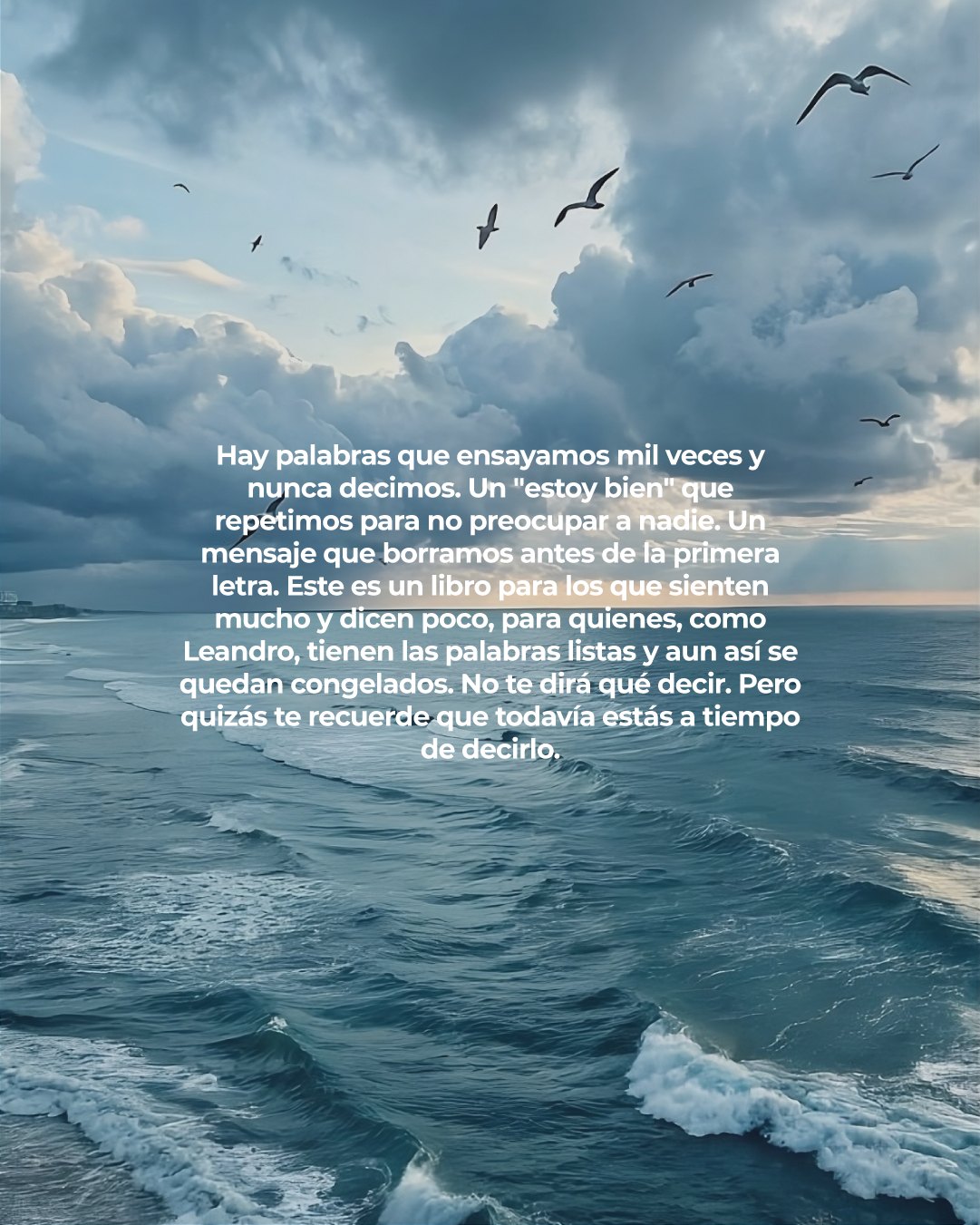 Contraportada del e-book: un texto sobre las palabras que ensayamos y nunca decimos.